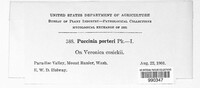 Image Associated With the Occurence
